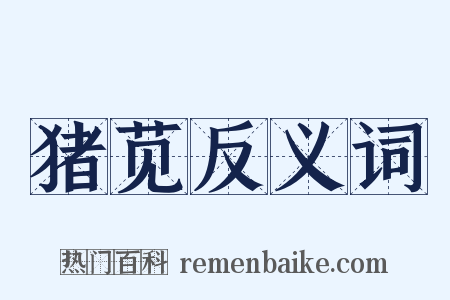 猪苋反义词是什么意思的图片